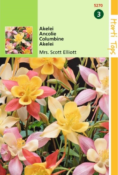 Columbine Mrs. Scott Elliott (Aquilegia) 400 seeds HT